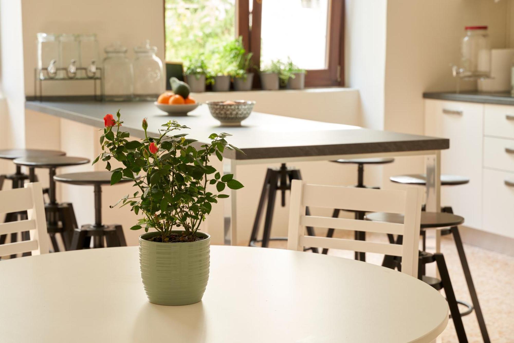 Hub Portanova Hostel Trani Kültér fotó